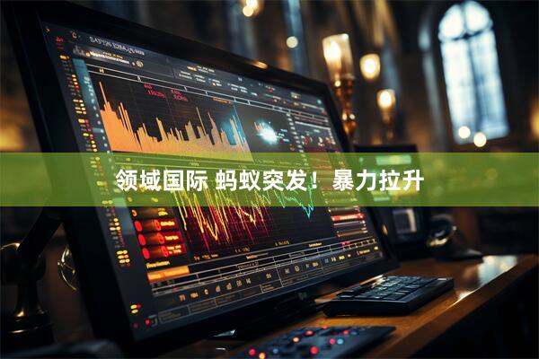 领域国际 蚂蚁突发！暴力拉升